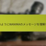 このようにWANIMAのメッセージを理解した