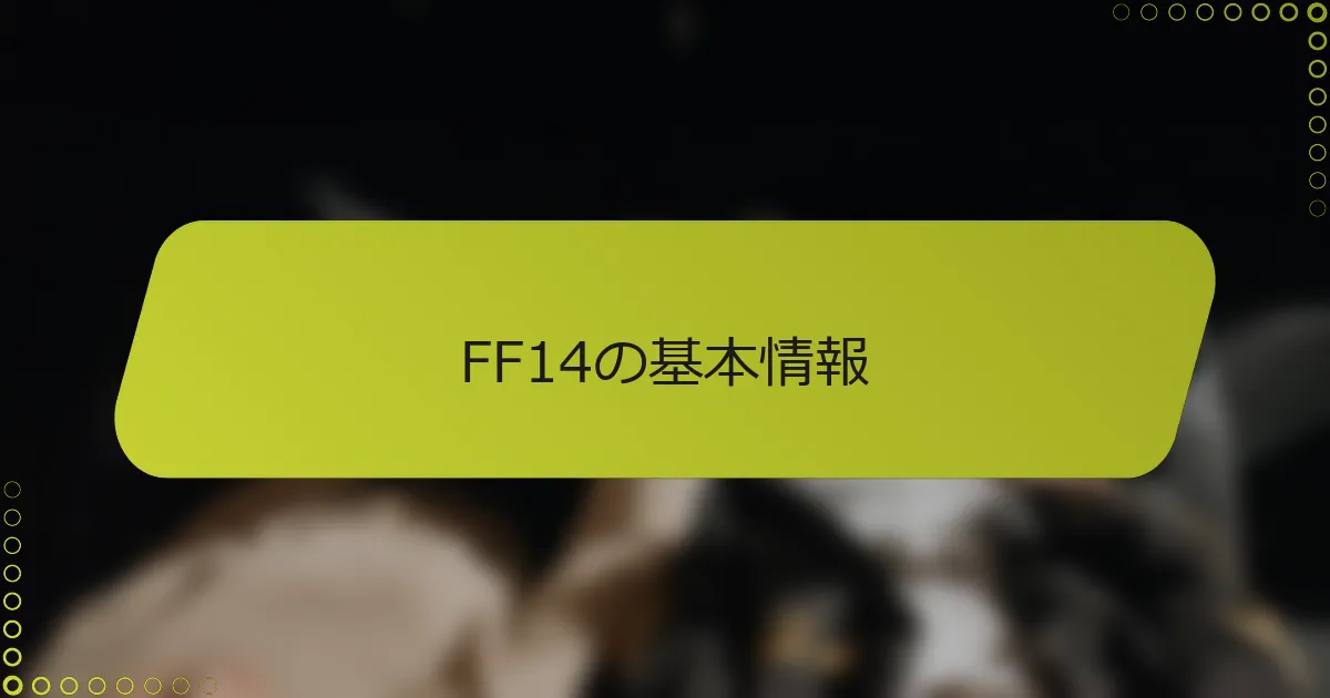 FF14の基本情報