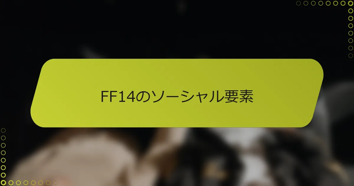 FF14のソーシャル要素