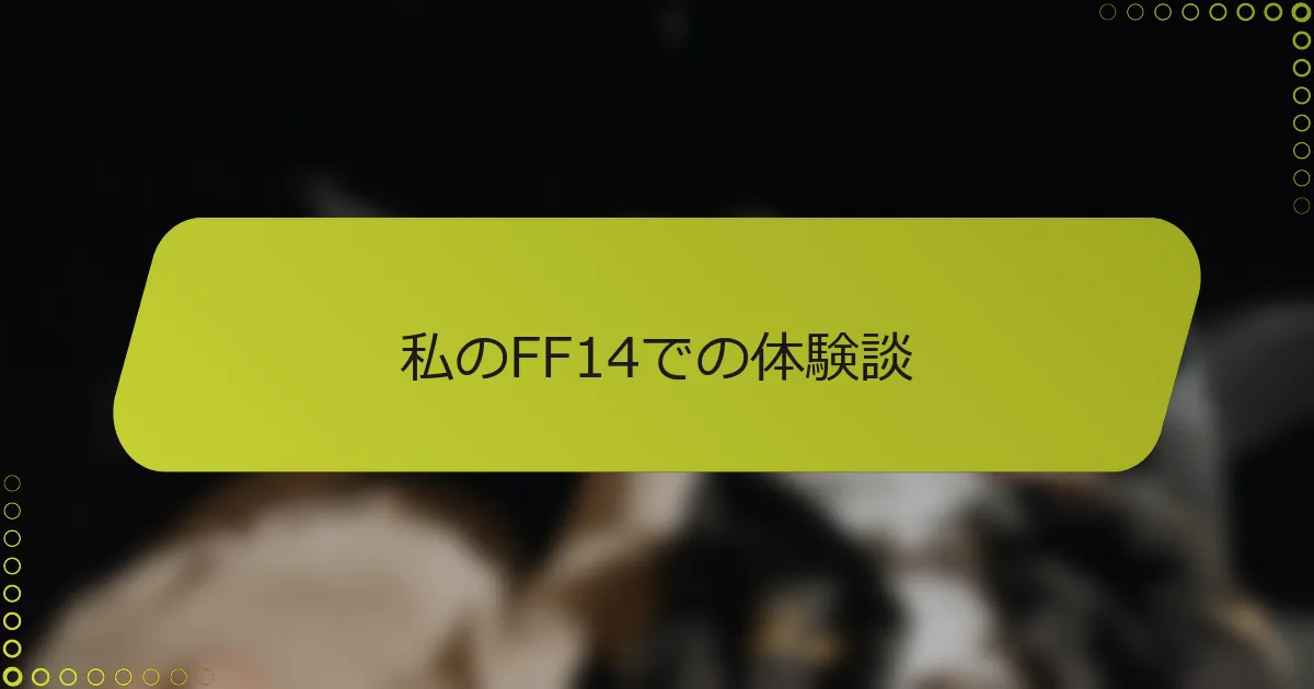 私のFF14での体験談